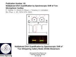 Whispering Gallery Mode Biosensor 003.JPG